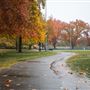 Hooker Oak Park