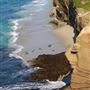 La Jolla Cove