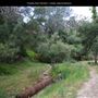 Presidio Park