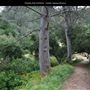 Presidio Park
