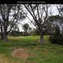 Presidio Park