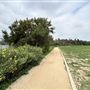 Silver Lake Reservoir