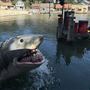 Universal Studios Hollywood - Theme Park Main Entrance & Theme Park Attractions
