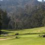 Griffith Park, Harding Wilson Golf Course