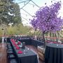 Yamashiro Hollywood - Historic Restaurant, Hotel & Gardens