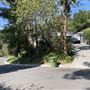 Vibe-y Los Angeles Mid Century Modern Single Level Home