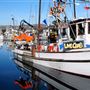 Bodega Bay