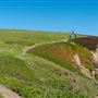 Bodega Head / Dunes (Sonoma Coast State Beach)