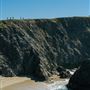 Bodega Head / Dunes (Sonoma Coast State Beach)