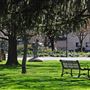 Cotati