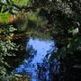Glen Ellen
