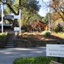 Glen Ellen