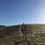 Healdsburg