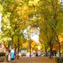 Healdsburg