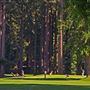 Northwood Golf Club