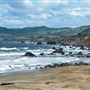Salmon Creek Beach (Sonoma Coast State Park)
