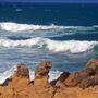 Salt Point State Park (SP)