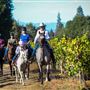 Sebastopol