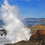 Sonoma Coast State Park (SP)