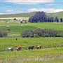Valley Ford