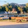 Sunny Canyon Ranch