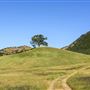 Sutter Buttes State Park (SP)