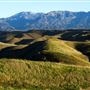 Chino Hills State Park (SP)