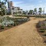 San Diego County Administration Center / Waterfront Park