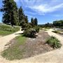 Japanese Gardens @ Donald C. Tillman Water Reclamation Plant