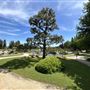 Japanese Gardens @ Donald C. Tillman Water Reclamation Plant