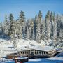 Dodge Ridge Mountain Resort