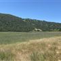 Garland Ranch Regional Park