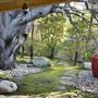 The Treehouse Studio City