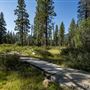 Ward Creek Park Property
