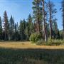 Ward Creek Park Property