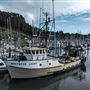 Noyo Harbor District