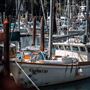 Noyo Harbor District