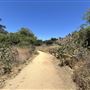 Kenneth Hahn State Recreational Area (SRA) administered by Los Angeles County
