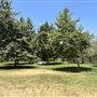 Whittier Narrows Recreation Area / LA County Parks - US Army Corps of Engineers
