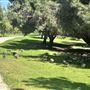 Whittier Narrows Recreation Area / LA County Parks - US Army Corps of Engineers