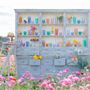 Carlsbad Flower Fields
