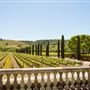 Ferrari Carano Vineyards and Winery