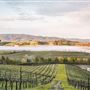 Cline Cellars