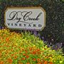 Dry Creek Vineyard