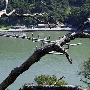 Angel Island State Park (SP)
