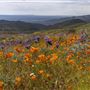 Onyx Ranch State Vehicular Recreation Area (SVRA)
