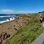 Hearst San Simeon State Park (SP)