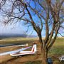 Skylark North Soaring