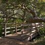 Los Osos Oaks State Natural Reserve (SNR)