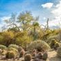 The Living Desert Zoo and Botanical Gardens